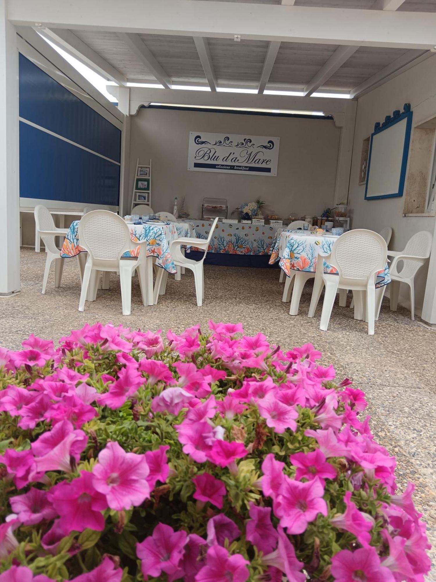 Blu D'Amare B&B Porto Cesareo Exteriér fotografie