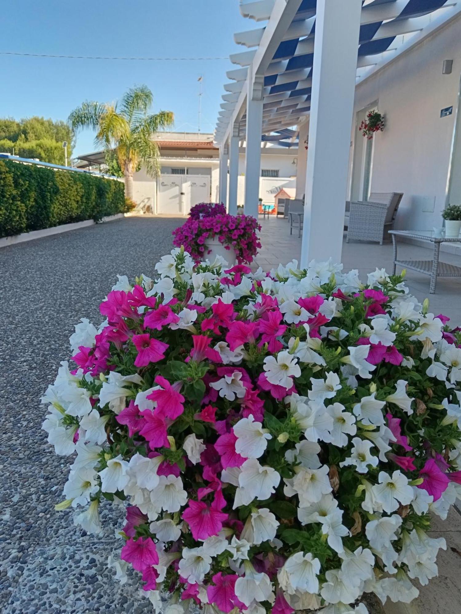 Blu D'Amare B&B Porto Cesareo Exteriér fotografie